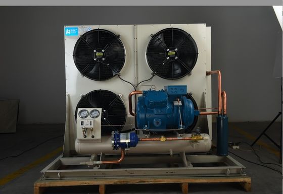 Frost Temp Monoblock Agregat skraplający do chłodni Układ chłodzenia do chłodni