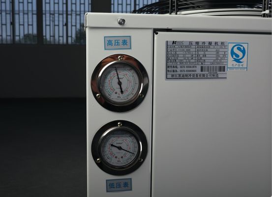 Copeland Freezer Room Condensing Unit Compressor 404a Czynnik chłodniczy